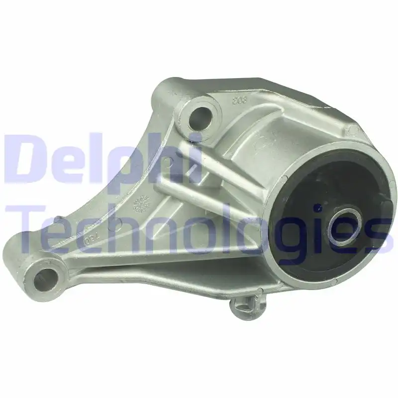 DELPHI TEM031
