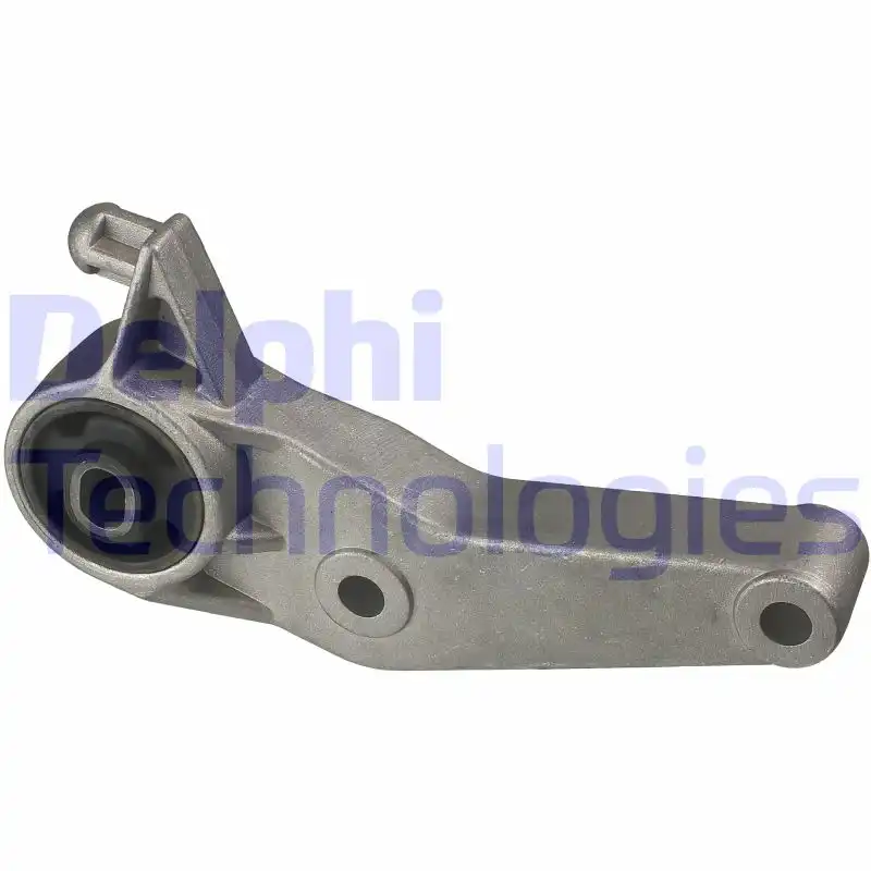 DELPHI TEM055