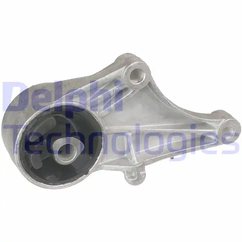 DELPHI TEM056