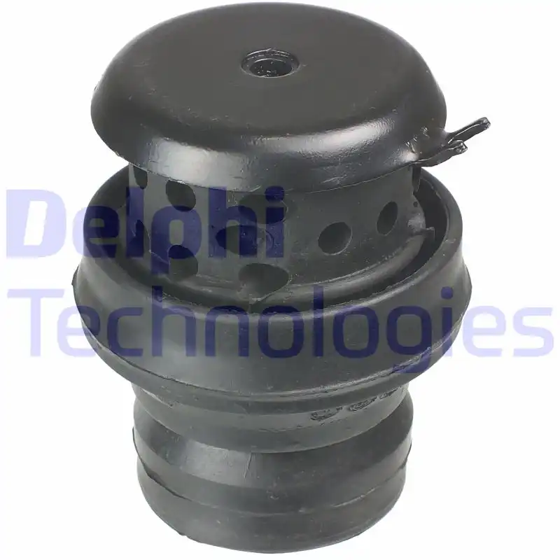 DELPHI TEM058
