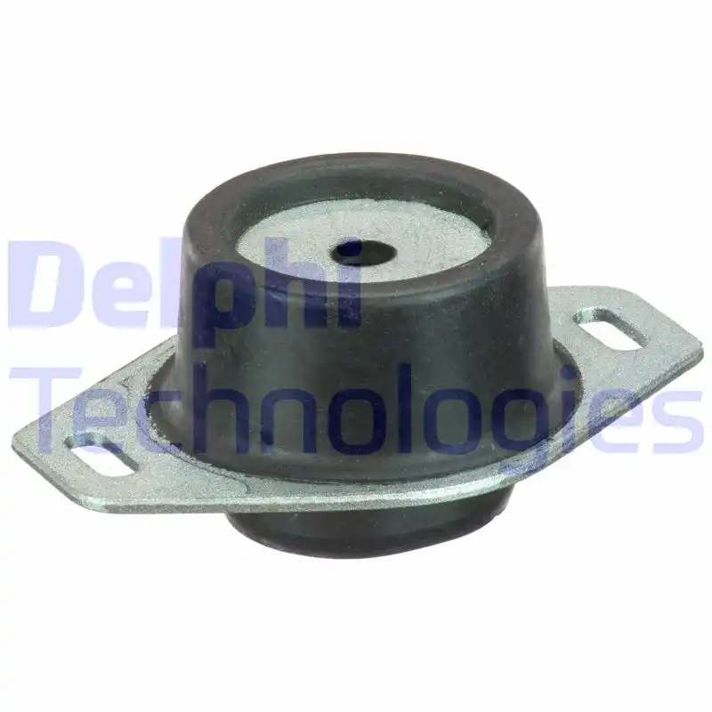 DELPHI TEM065