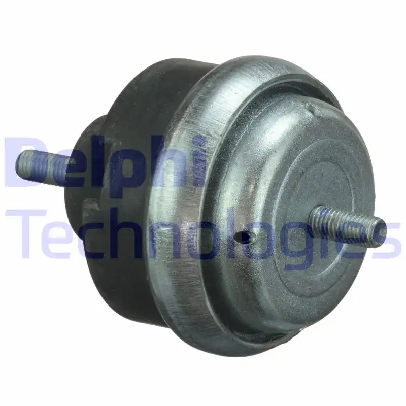 DELPHI TEM066