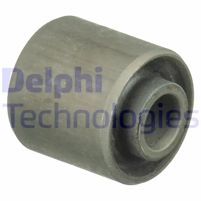 DELPHI TEM071