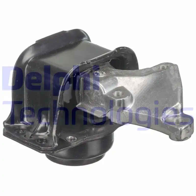 DELPHI TEM074