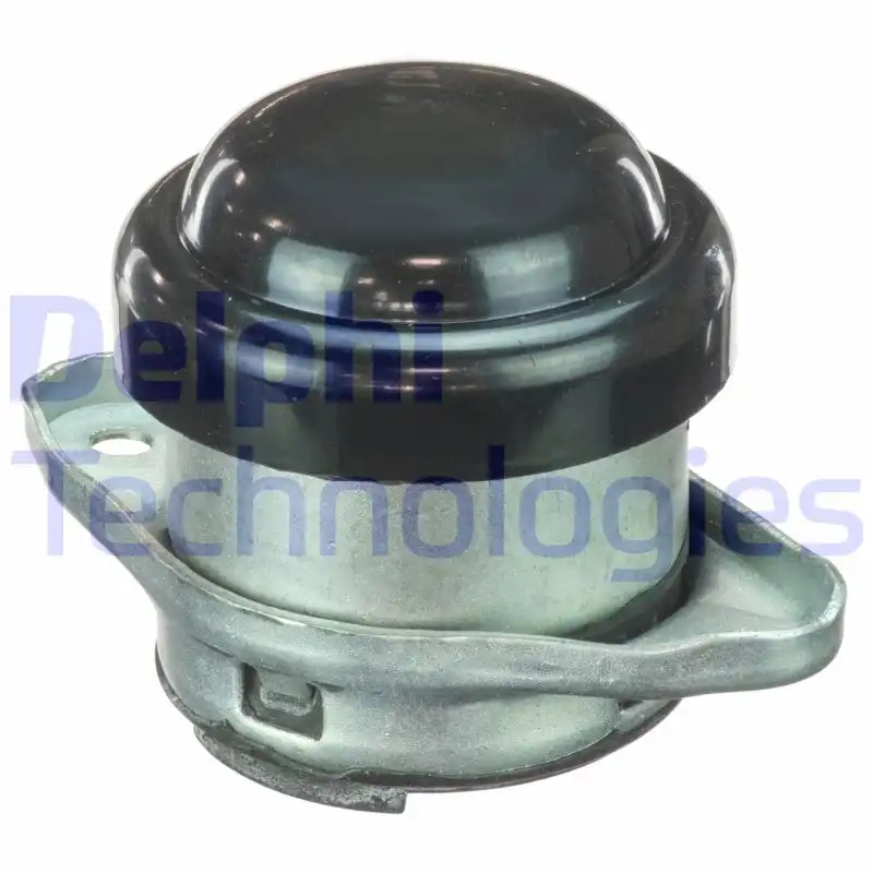 DELPHI TEM077