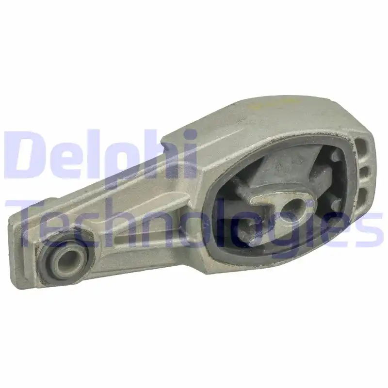 DELPHI TEM081