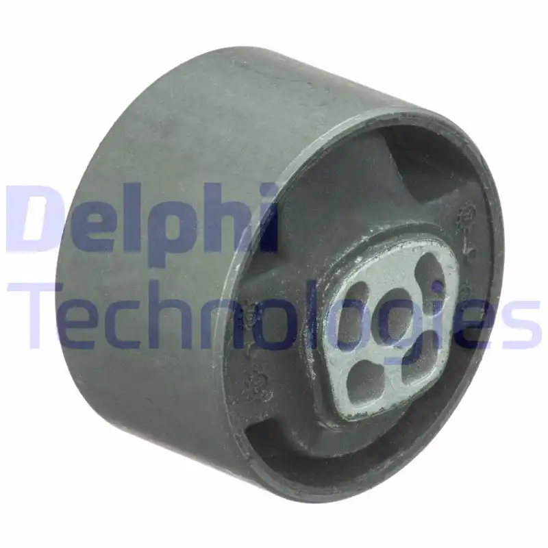 DELPHI TEM089