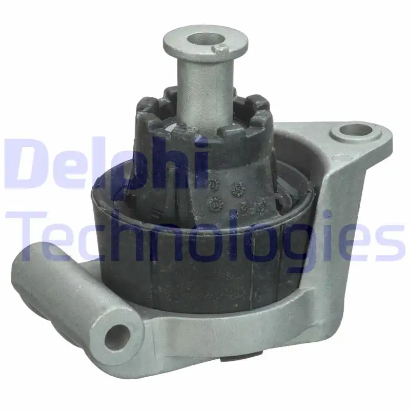 DELPHI TEM091