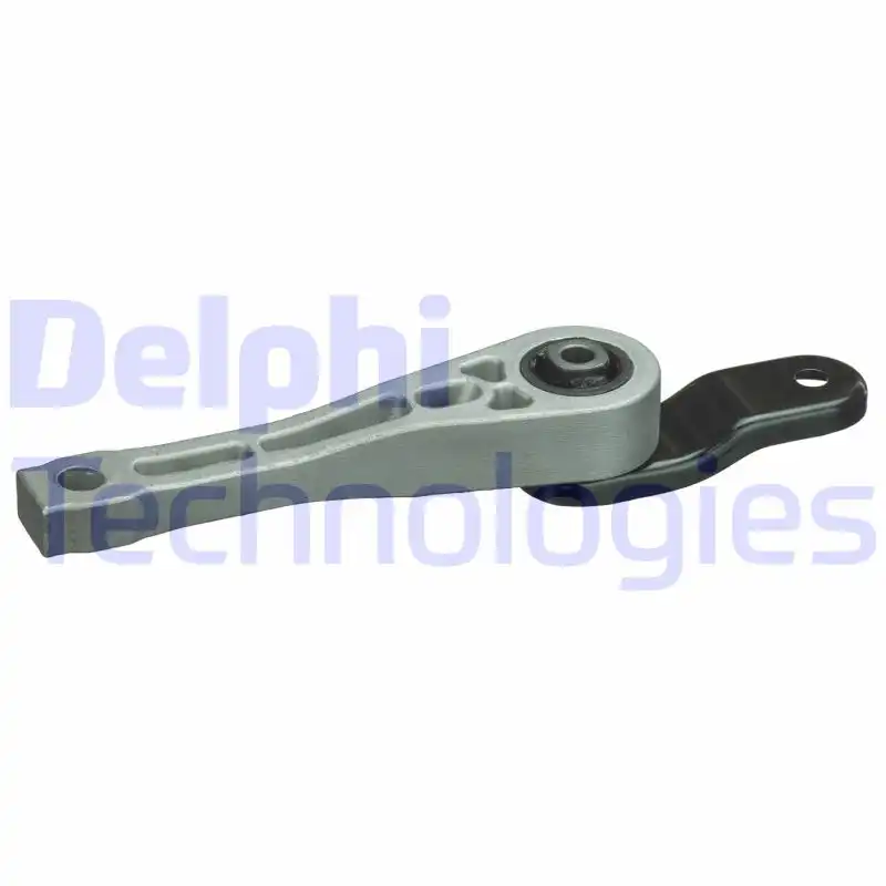 DELPHI TEM101