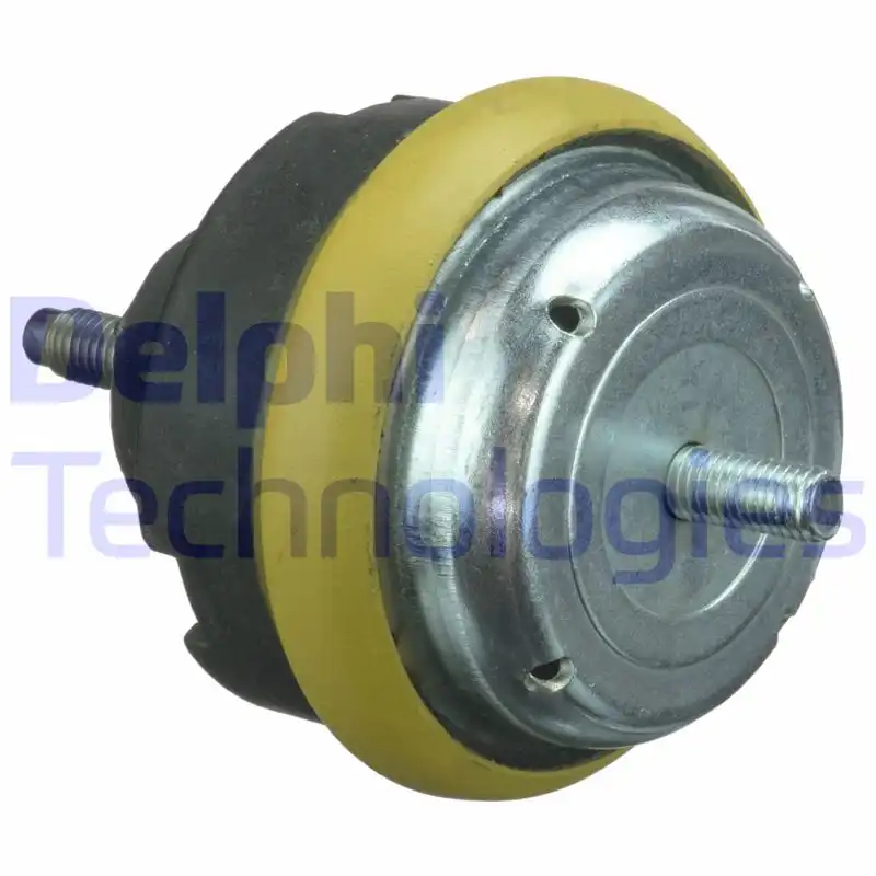 DELPHI TEM113