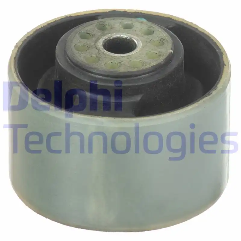 DELPHI TEM193