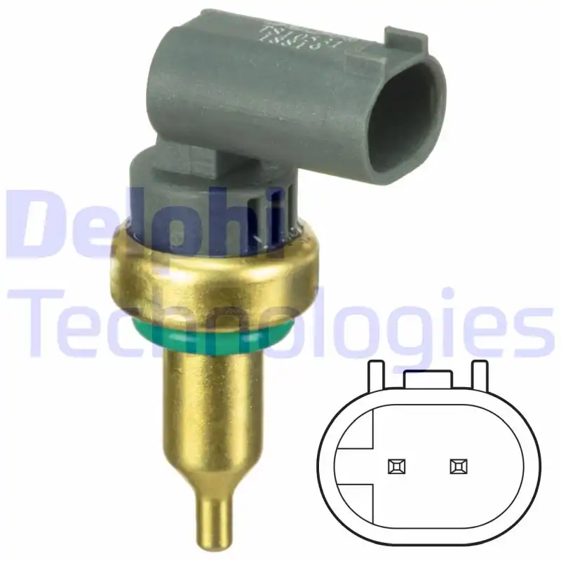 DELPHI TS10531