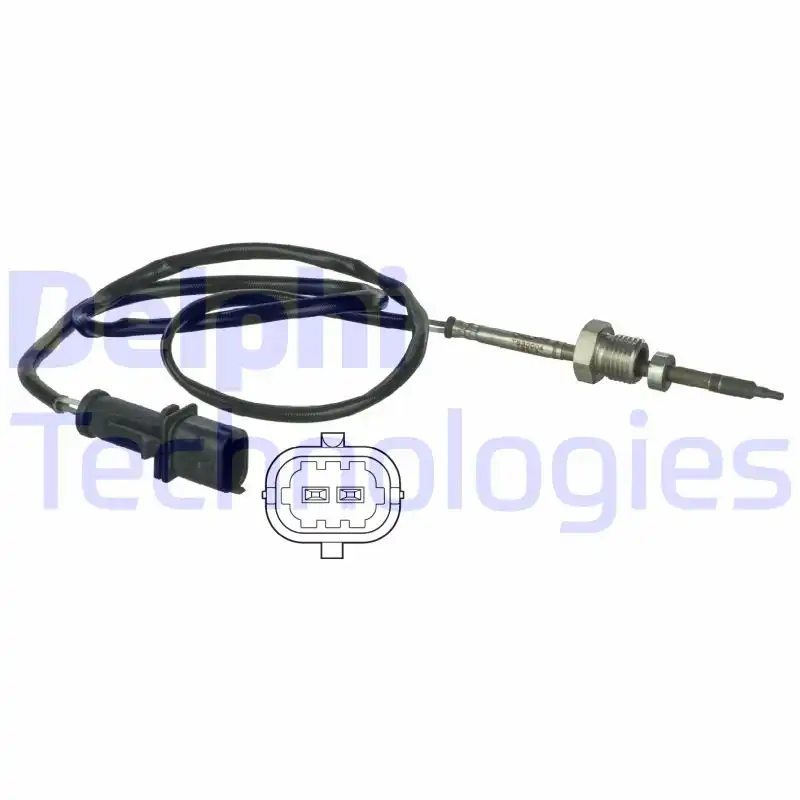 DELPHI TS30004