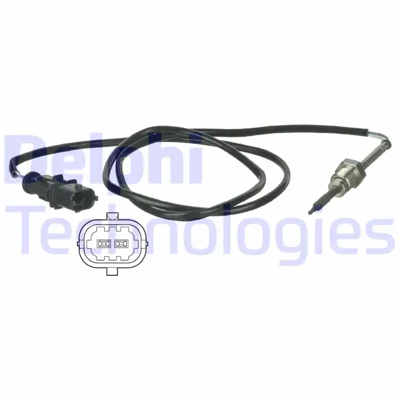 DELPHI TS30013