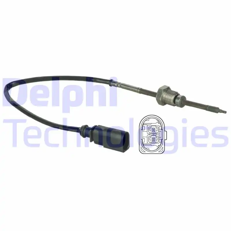 DELPHI TS30021