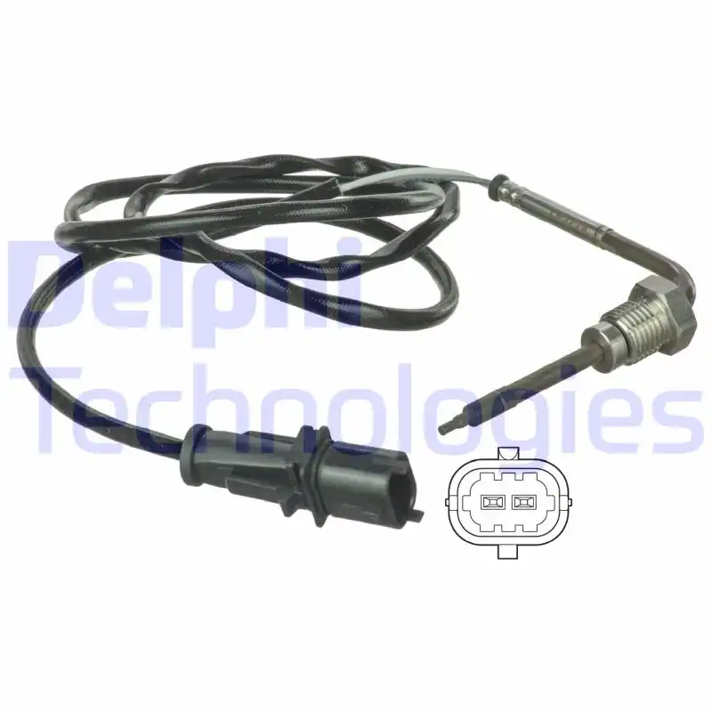 DELPHI TS30025