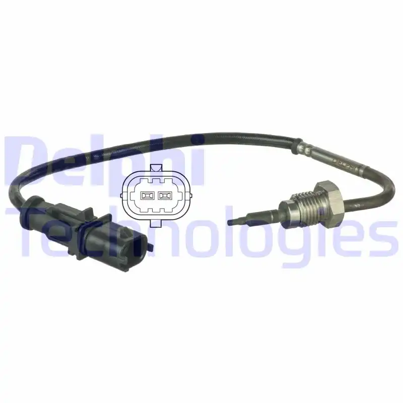 DELPHI TS30031