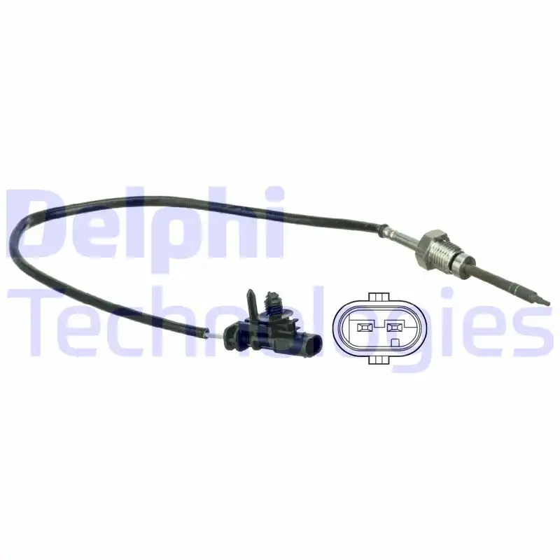 DELPHI TS30061