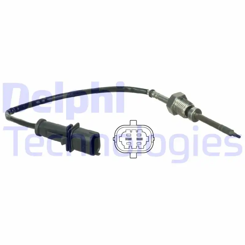 DELPHI TS30065