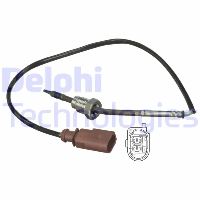 DELPHI TS30077