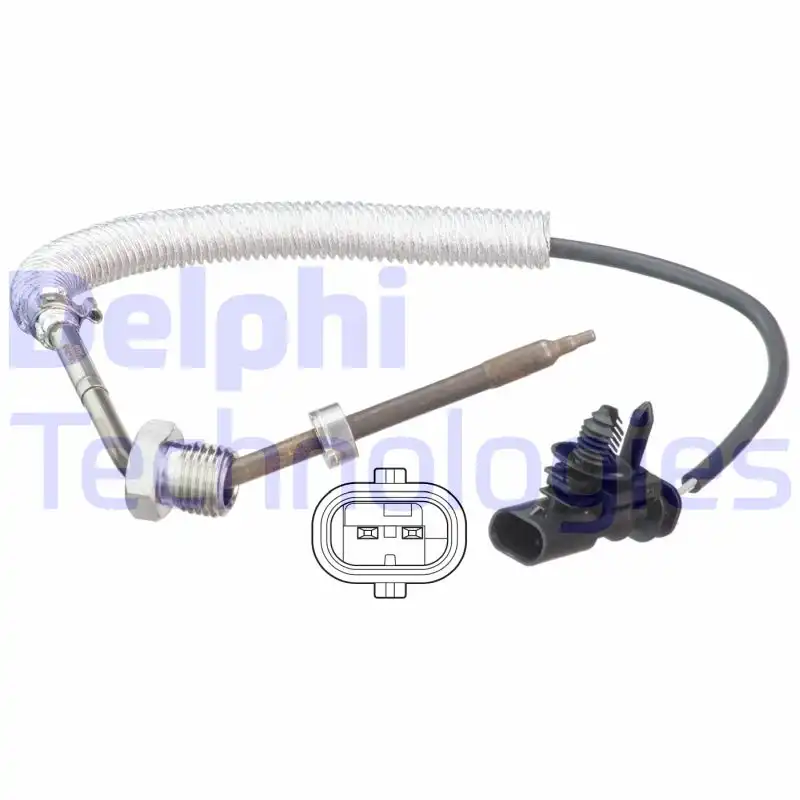 DELPHI TS30099