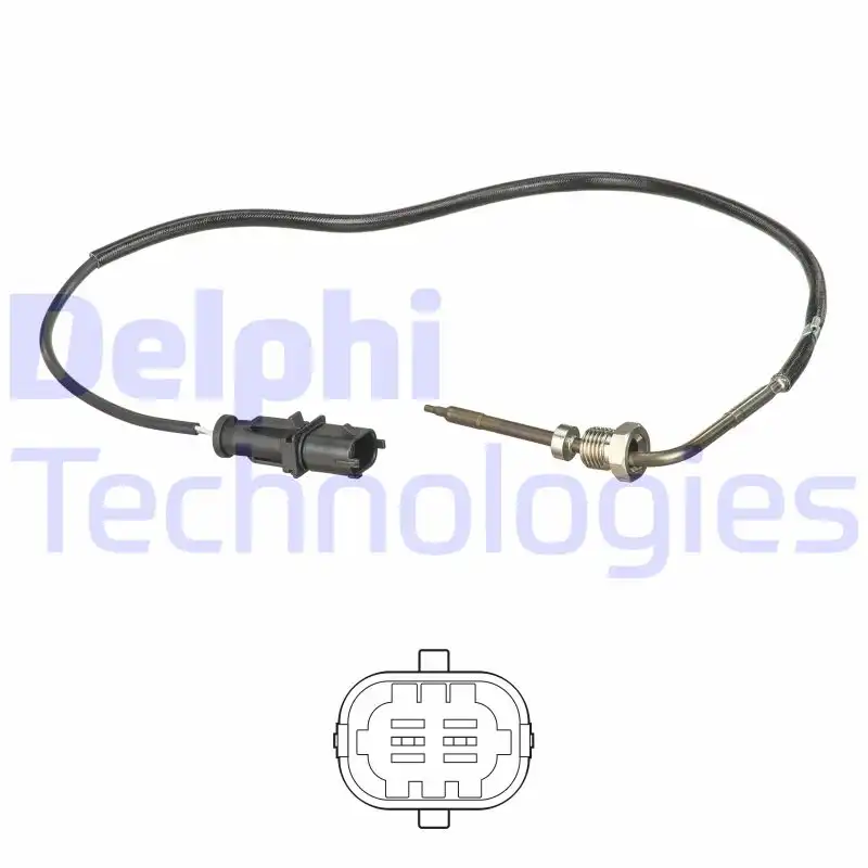 DELPHI TS30113