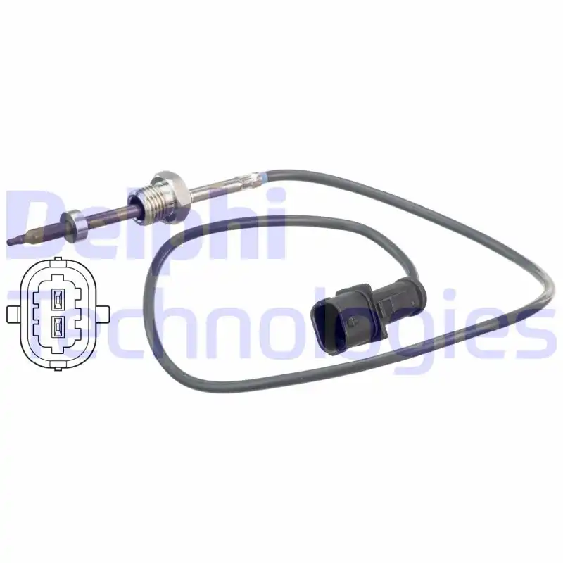 DELPHI TS30114