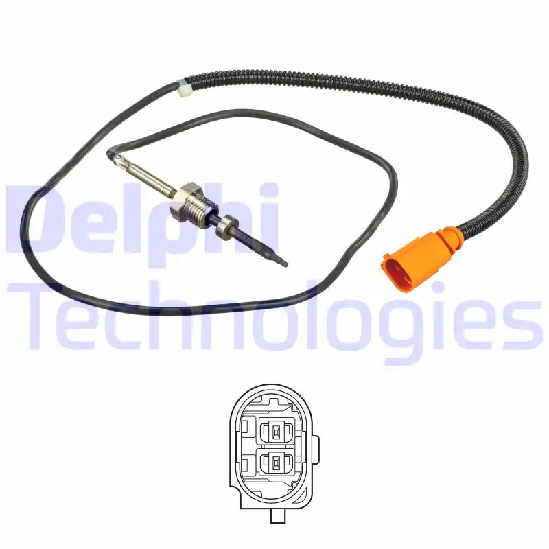 DELPHI TS30166
