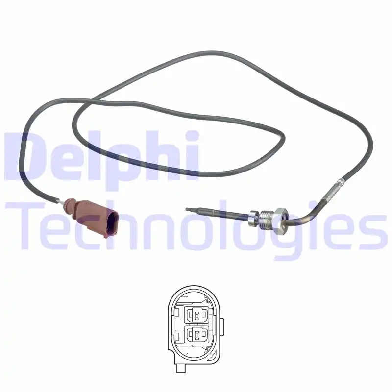 DELPHI TS30169