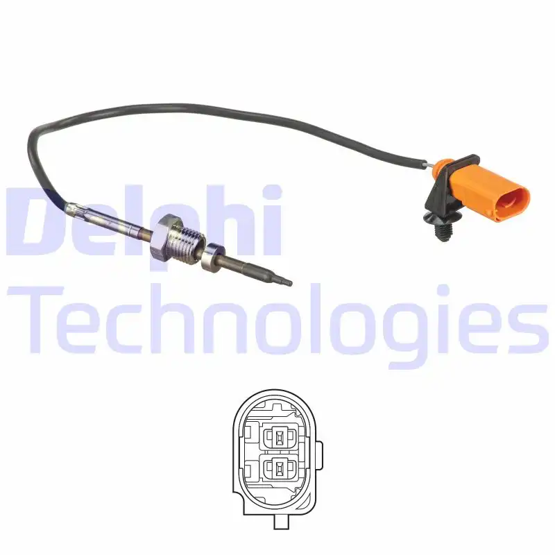 DELPHI TS30171