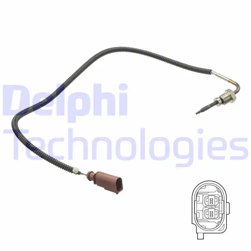 DELPHI TS30173