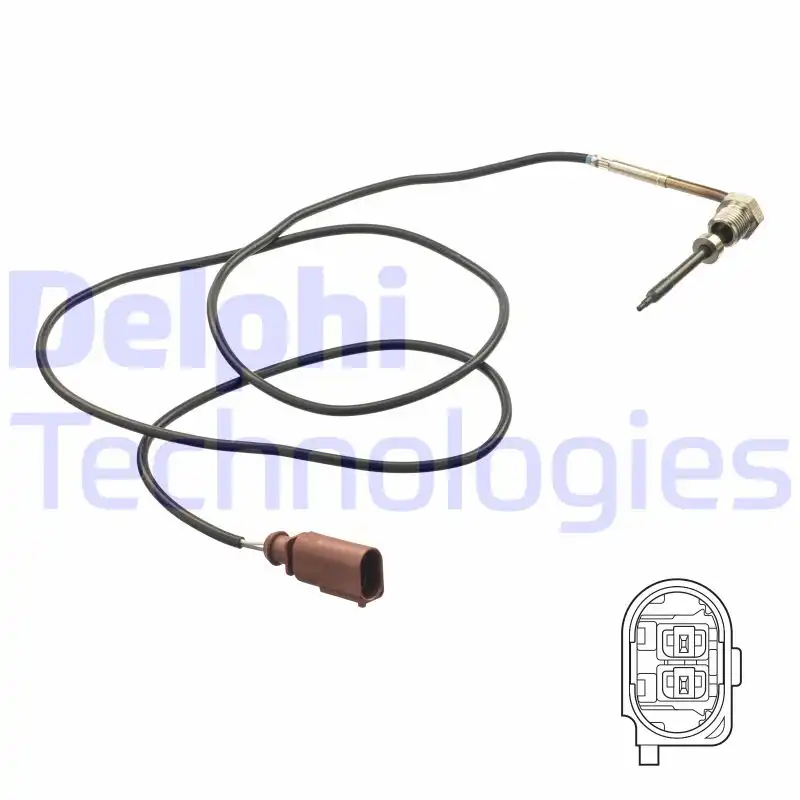 DELPHI TS30174