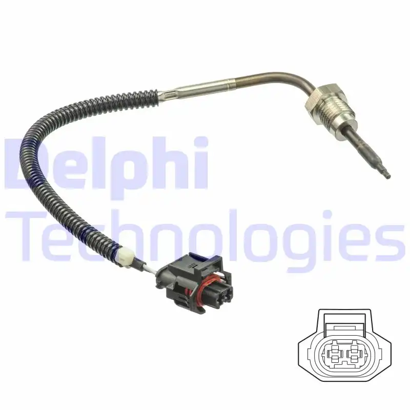 DELPHI TS30198