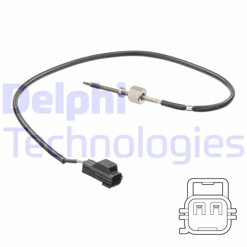 DELPHI TS30206