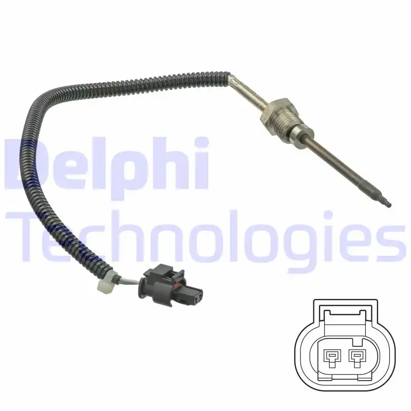 DELPHI TS30217