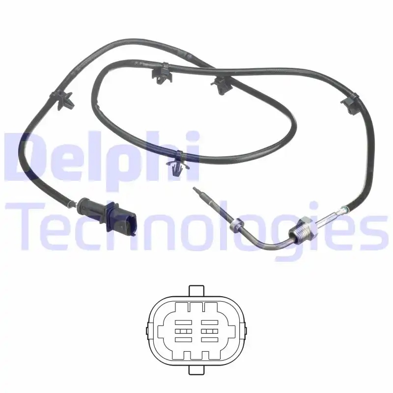 DELPHI TS30243