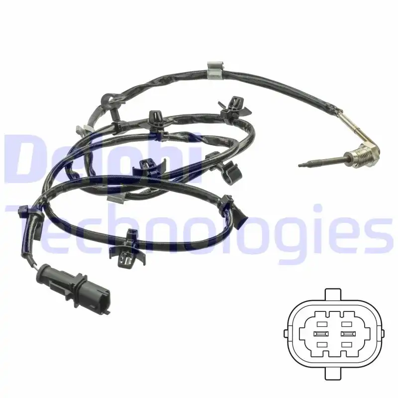 DELPHI TS30244