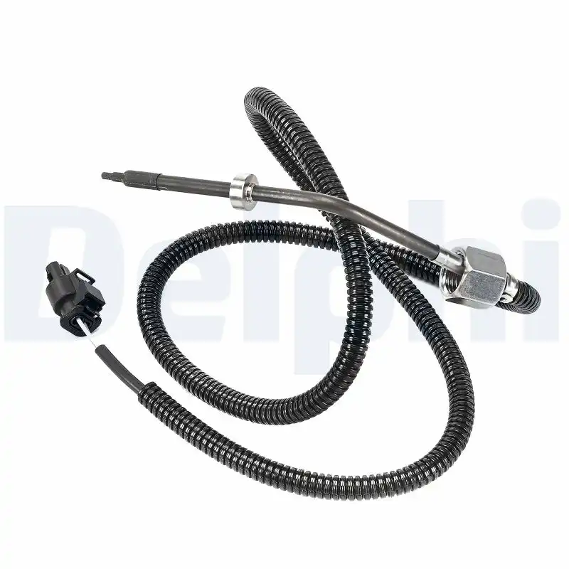 DELPHI TS30313-12B1