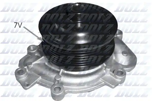 DOLZ M231