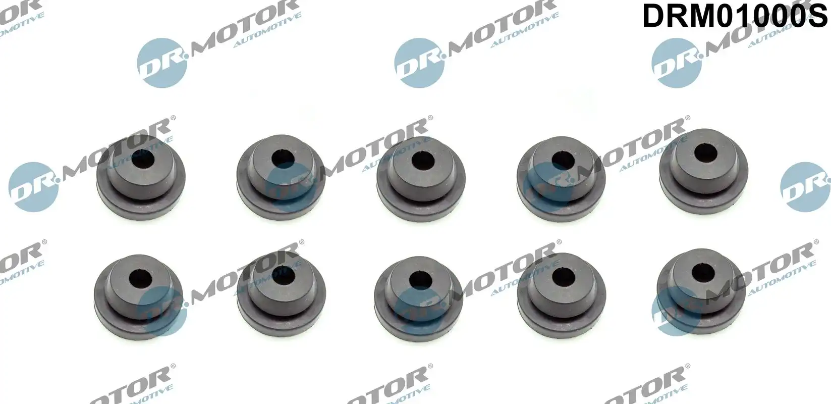 DR. MOTOR DRM01000S