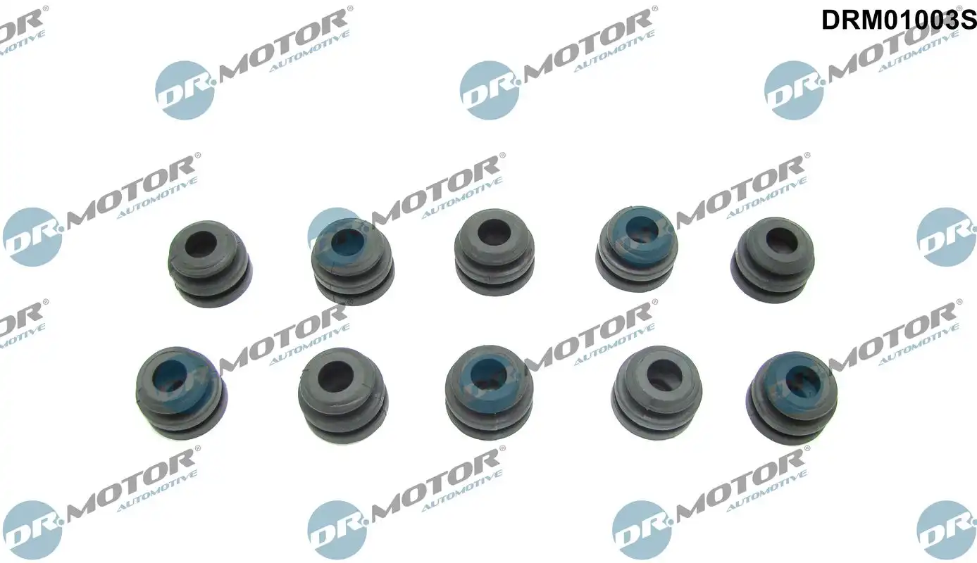 DR. MOTOR DRM01003S