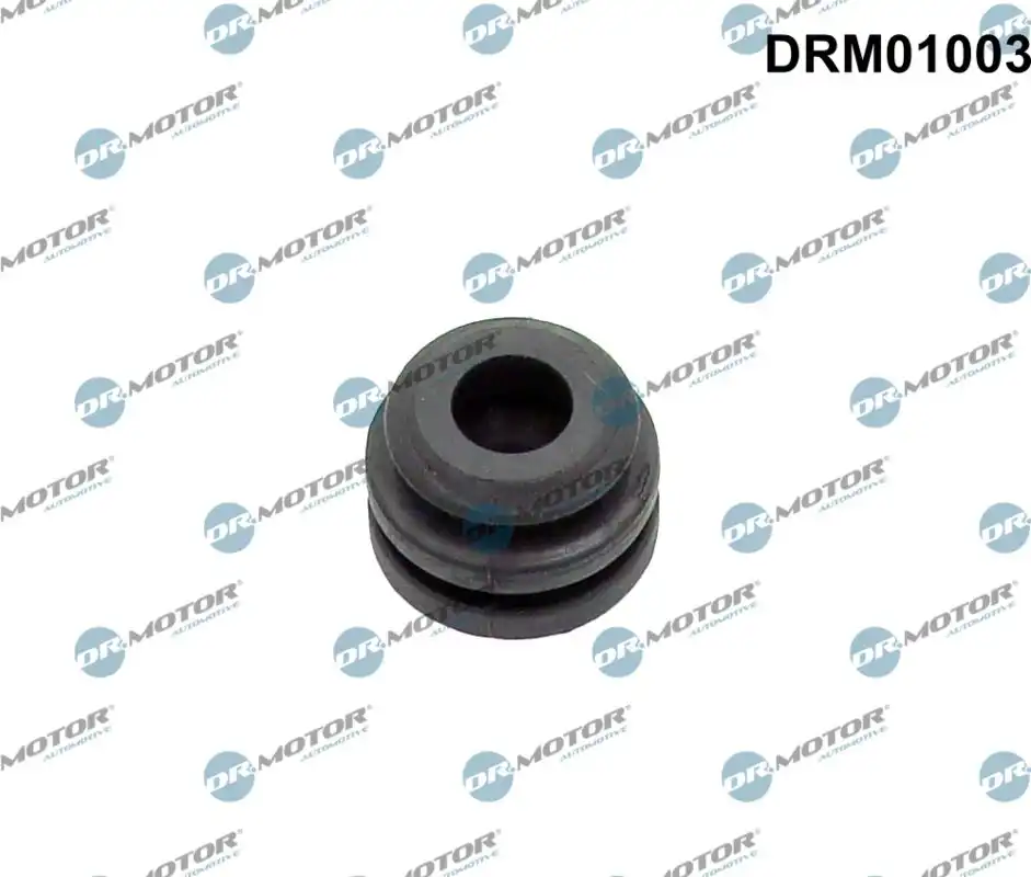 DR. MOTOR DRM01003