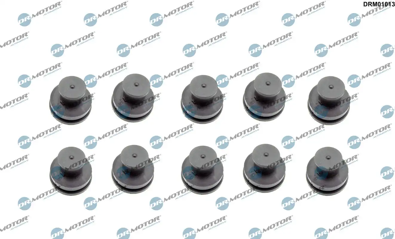 DR. MOTOR DRM01013