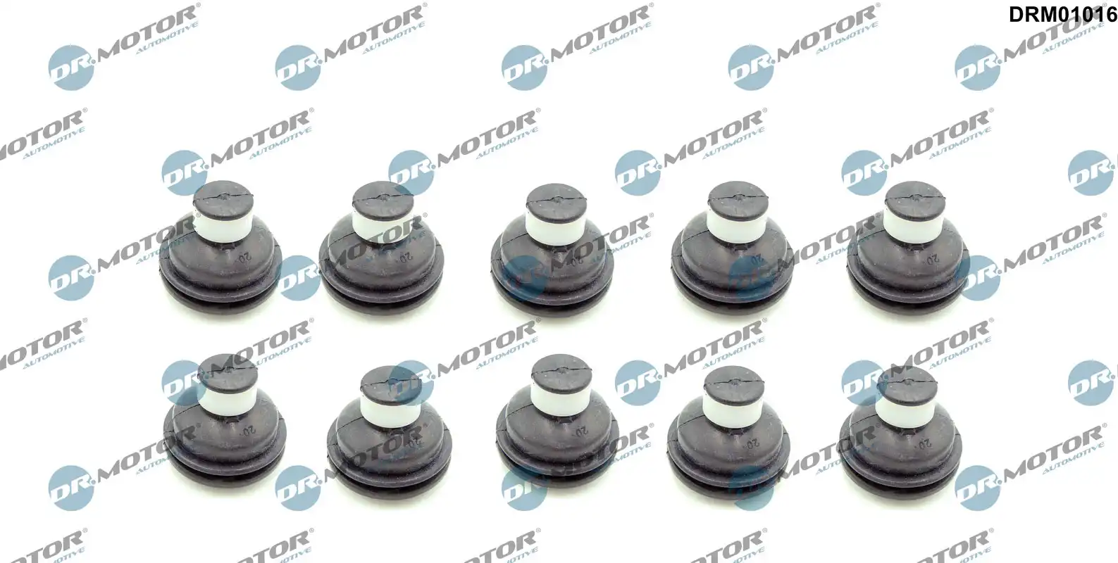 DR. MOTOR DRM01016
