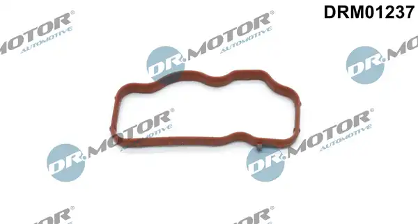 DR. MOTOR DRM01237