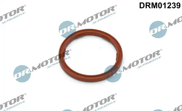 DR. MOTOR DRM01239
