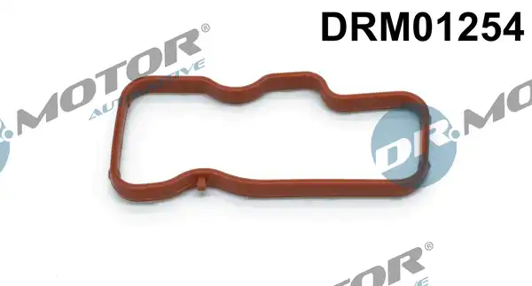 DR. MOTOR DRM01254