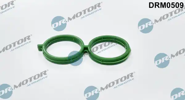 DR. MOTOR DRM0509