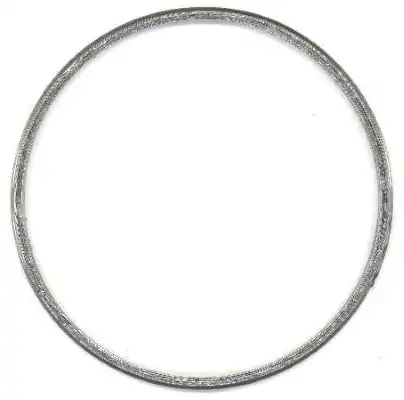 ELRING 844.310