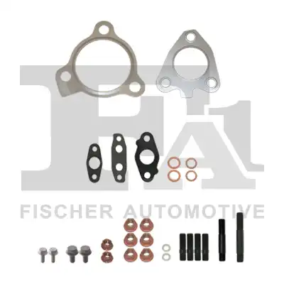 FA1 KT730310